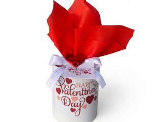 Happy Valentine's Day Mug