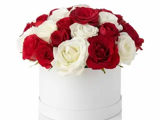 Poème Florale