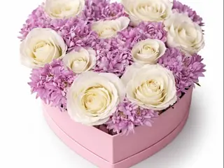 Pink Deluxe (S)