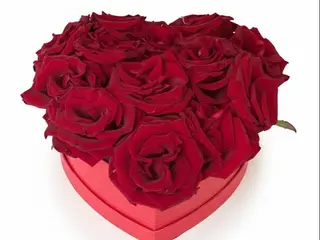 Flowerheart L