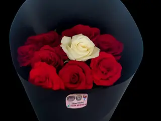 Bouquet (N)