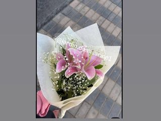 Lys rose + gypsophila