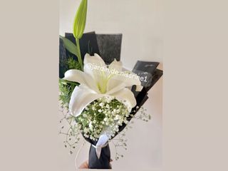 Lys blanc et Gypsophile