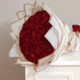 40 rose rouge  212