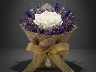 DarNowar – Harmonie Royale – Symphonie de Force et de Douceur