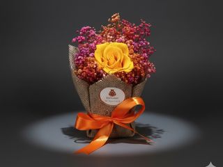 DarNowar – Eternal Éclat Solaire – Rose Éternelle et Brume Fuchsia