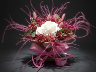 DarNowar – Velours de Soie – Élégance en Jute