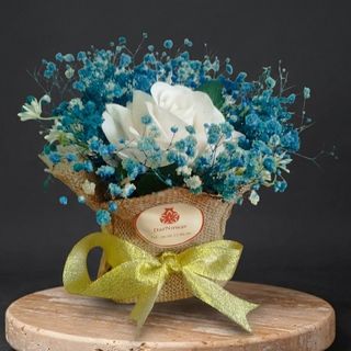 DarNowar - Secret de Rose