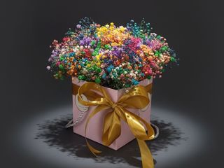 DarNowar – Prisme de Joie – Box Eternelle Multicolore