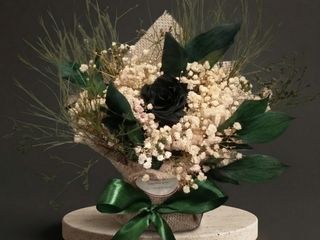 DarNowar – Reflet de Nuit – Composition Élégante