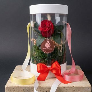 DarNowar - Écrin Cristal (Rose Éternelle Unique sous Cloche)