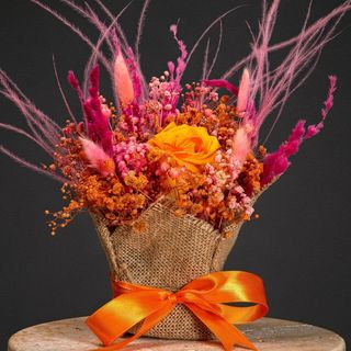 DarNowar – Ardeur Solaire – L'Énergie au Féminin