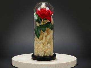 DarNowar - Cloche Passion : Rose & Pampas Chic -