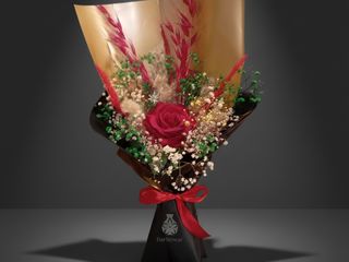 DarNowar – Grâce Divine – L'Ode à la Femme