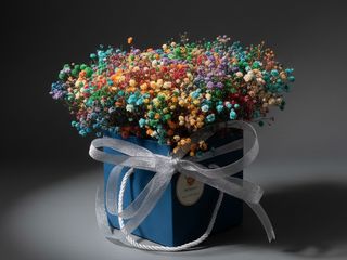 DarNowar – La Foret des Gypsophiles – Box Eternelle Multicolor