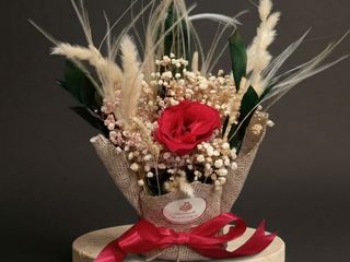 DarNowar – Horizon Serein – Arrangement Délicat