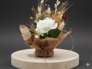 DarNowar – Écrin de Tendresse – Souffle de Grâce au Féminin