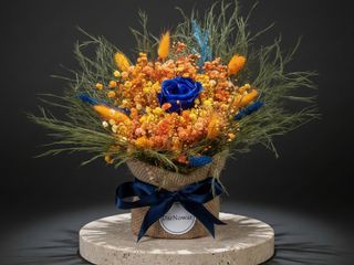 DarNowar – Caresse Subtile – Bouquet d'Exception