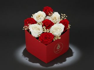 DarNowar - Box Cœur Éternel (9 Roses Rouge & Blanc)