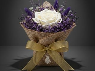 DarNowar – Perle d'Orient – Arrangement Boheme Mauve