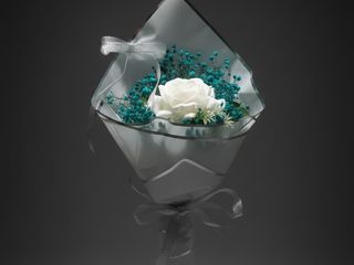 DarNowar – Lumière Éternelle – Hommage au Féminin