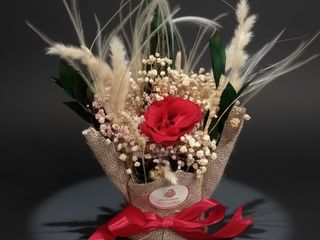 DarNowar – Eternal Flamme Rouge – Écrin de Rose et Pampa