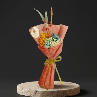 DarNowar - Mélodie Bleue