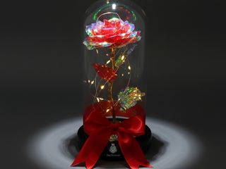 DarNowar - Rose Enchantée Sous Cloche Lumineuse