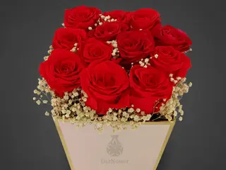 DarNowar - Box Prestige Éternelle (12 Roses Rouge Passion)