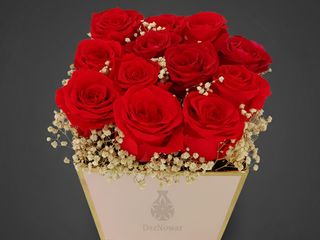 DarNowar - Box Prestige Éternelle (12 Roses Rouge Passion)