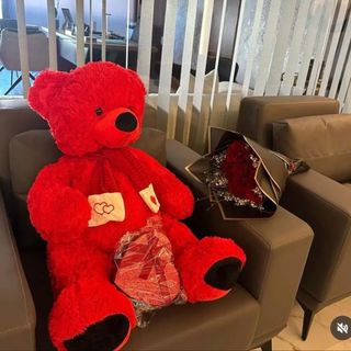 teddy red