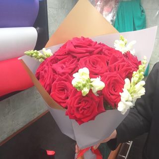 احبك