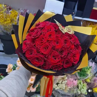 احبك يا غالية