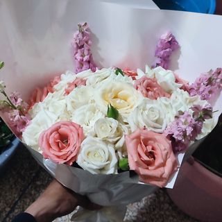 باقة المنزل