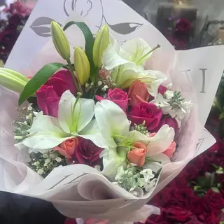 rose rose