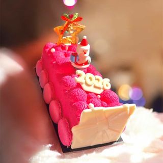 Bûche Fruit Rouge 4p