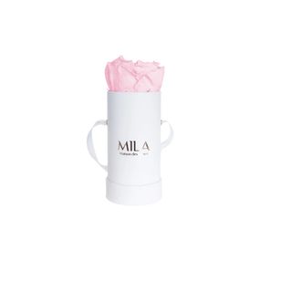 Mila Classic Baby
