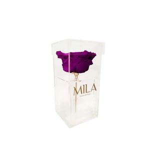 Mila Acrylic Single XXL