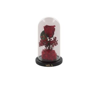 Mila Acrylic Cloche
