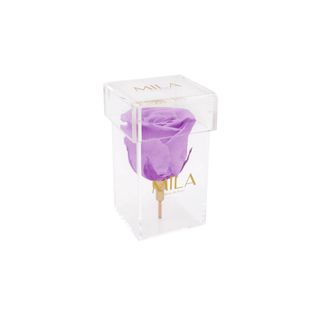 Mila Acrylic Single Stem