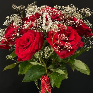 20roses rouge et gypsophyles