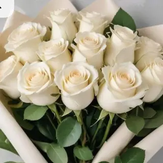 15 roses crème