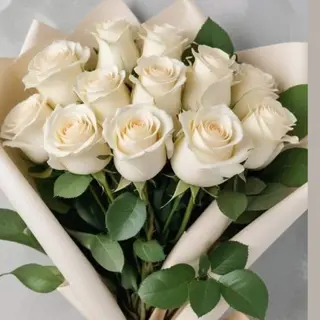 20 roses crème