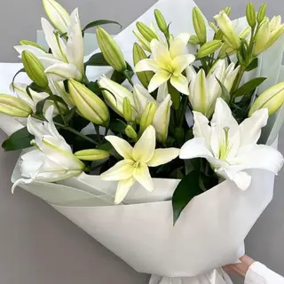 7 tiges de lys blanc