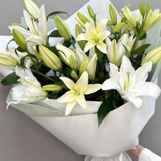 10 tiges de lys blanc