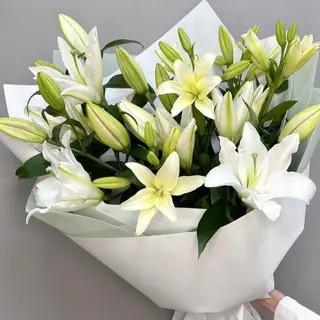 5 tiges de lys blanc