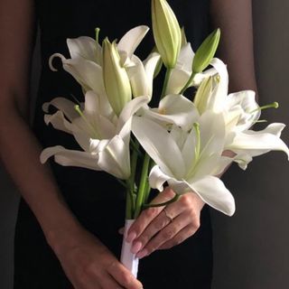 3 tiges de lys blanc