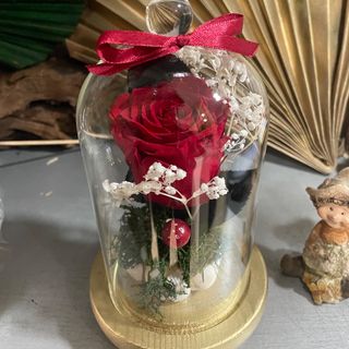 Rose ètèrnèlle rouge