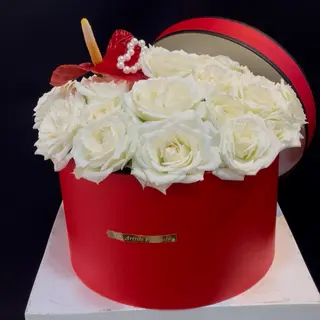 Cœur d’anthurium