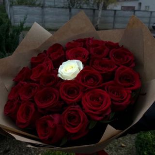 Tu es unique de 100 roses rouge